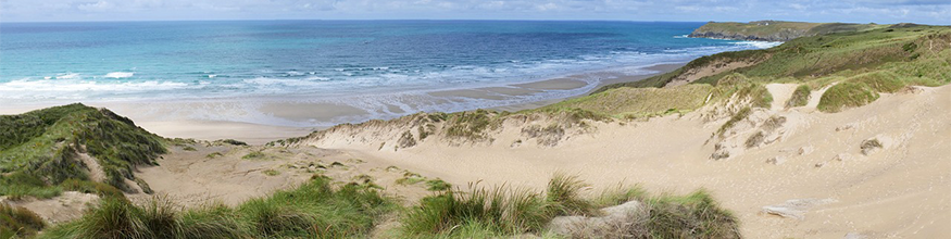 dune guide banner